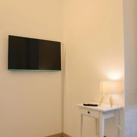 Domus Vatican Museum 罗马