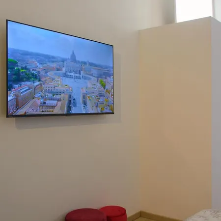 Domus Vatican Museum